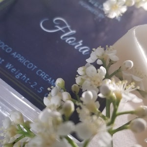 May include: A close-up shot of a dark blue product box with the word "Flora" in elegant script. Delicate white flowers and buds frame the box, with the text "COCO APRICOT CREAM" visible. The net weight is 2.5 oz.