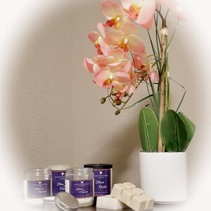 May include: A display of scented candles and wax melts with a potted orchid. The candles are in clear jars with purple labels that read "Black Orchid". The wax melts are light beige. The orchid has pink and yellow flowers.