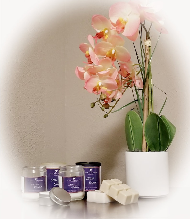 May include: A display of scented candles and wax melts with a potted orchid. The candles are in clear jars with purple labels that read "Black Orchid". The wax melts are light beige. The orchid has pink and yellow flowers.