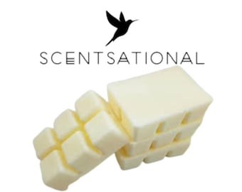 WAX CUBES/MELTS Perfume/Cologne Inspired Candle Wax Melt Strong Scented Vegan Coconut Apricot Cologne Type Wax Melts Handmade  2.7 oz