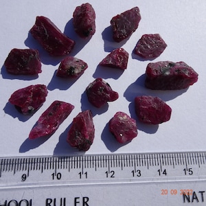 May include: A collection of 13 red ruby rough stones of varying sizes and shapes. The stones are arranged on a white surface with a ruler for scale. The ruler is marked in inches.
