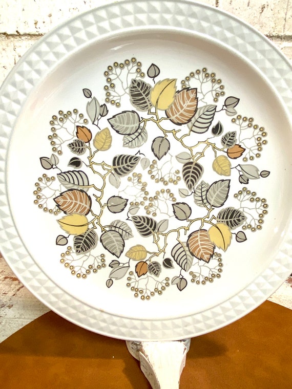 Platos pontesa hotsell
