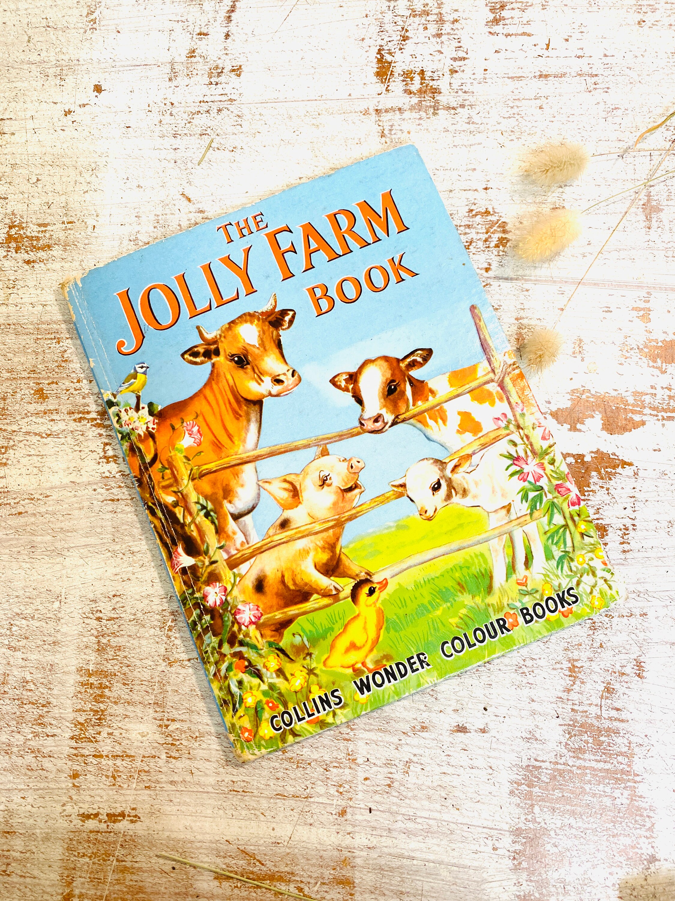 Vintage Children's Book / The Jolly Farm Book / Collins Etsy