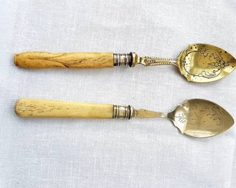 Pretty Antique bone handled spoons EPNS Engraved Spoons - vintage shabby chic home decor