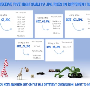 May include: Five high-quality JPG files in different ratios, labeled SIZE_01.JPG, SIZE_02.JPG, SIZE_03.JPG, SIZE_04.JPG, and SIZE_05.JPG. Each file is labeled with the size it can be printed at, in inches and centimeters.