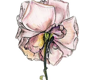 Flower: watercolor print