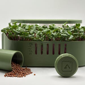 May include: A green microgreens growing kit with the word "sprig" on the side. The kit includes a tray of growing microgreens, a small container, and a lid. Brown seeds are scattered around the container.