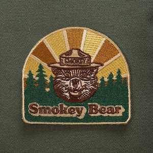 PATCH RAICHU POKÉMON Toppa Termoadesiva Iron On Embroidered Elettro - Foto 5