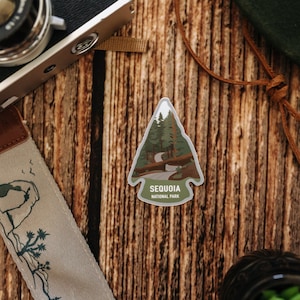 May include: A brown wooden background with a camera strap, a hat, a potted plant, and a sticker that says "Sequoia National Park" with a green and brown illustration of a winding road through a forest.