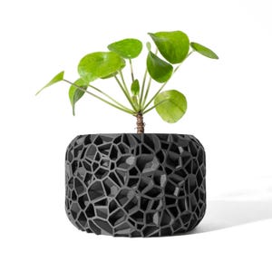 Vouri Planter | 3D Printed, Eco-Friendly Plant Pot | Modern Minimalist Design | Sustainable Home Decor | Mini Plant Holder | Voronoi Design