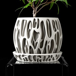 Treibholzgitter 3D Druck Übertopf: Modernes, umweltfreundliches Wohnaccessoire