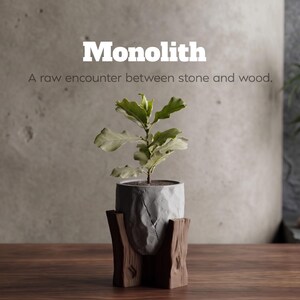 May include: A small potted plant with green leaves in a gray, textured concrete pot. The pot sits in a wooden stand. The word "Monolith" is displayed above the plant, with the text "A raw encounter between stone and wood."