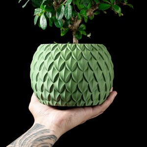 Könnte beinhalten: Ein grüner, strukturierter, kugelförmiger Pflanztopf mit geometrischem Muster, gehalten in einer Hand. Der Topf enthält einen kleinen Bonsai-Baum mit grünen Blättern, vor schwarzem Hintergrund.
