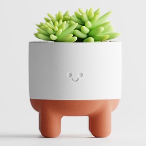 May include: A white ceramic planter with a smiling face and terracotta legs, holding a green succulent plant.
