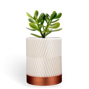 Drixel White Bronze Wall Planter: Modern 3D Printed Plant Pot