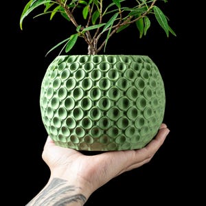 3D Printed Bubbly Plant Pot: Modern Eco-Friendly Planter with Optional Drip Tray