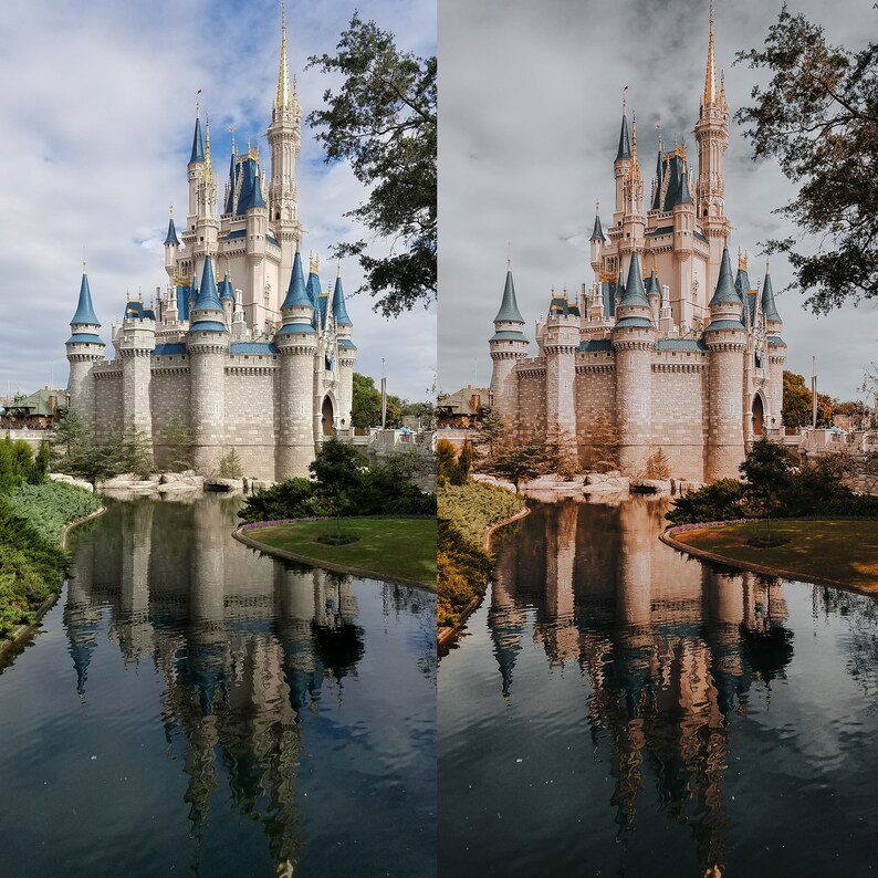 3 Disney Mobile Lightroom Presets Dark and Moody Presets | Etsy