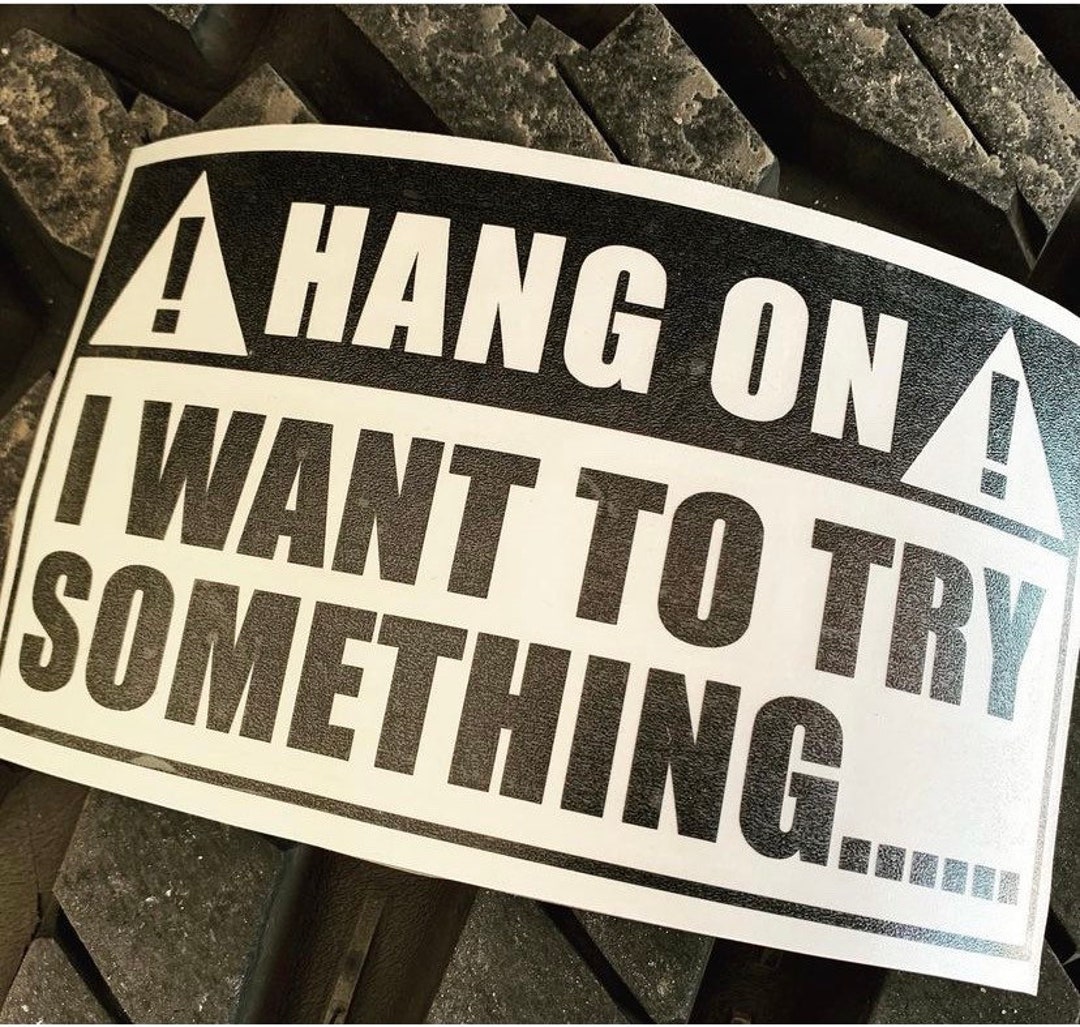 Hang On! I Want to Try Something Decal - Etsy