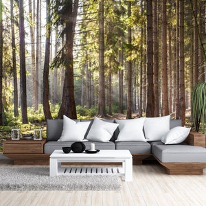 Sunny Forest Peel and Stick Wall Mural - Woodland Trees Self Adhesive Decal - Removable Photo Print Pines Wallpaper - Temporary CCM031