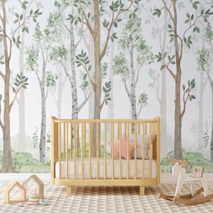 Woodland Forest Wallpaper for Nursery with Watercolor Birch Trees CCM017
