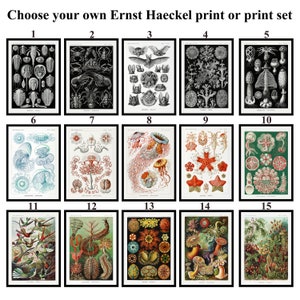 Impresión personalizada de obras de arte de Ernst Haeckel o conjunto de impresión Ernst Haeckel Formas de arte en la naturaleza Póster Ernst Haeckel Impresión Ernst Haeckel Arte de pared