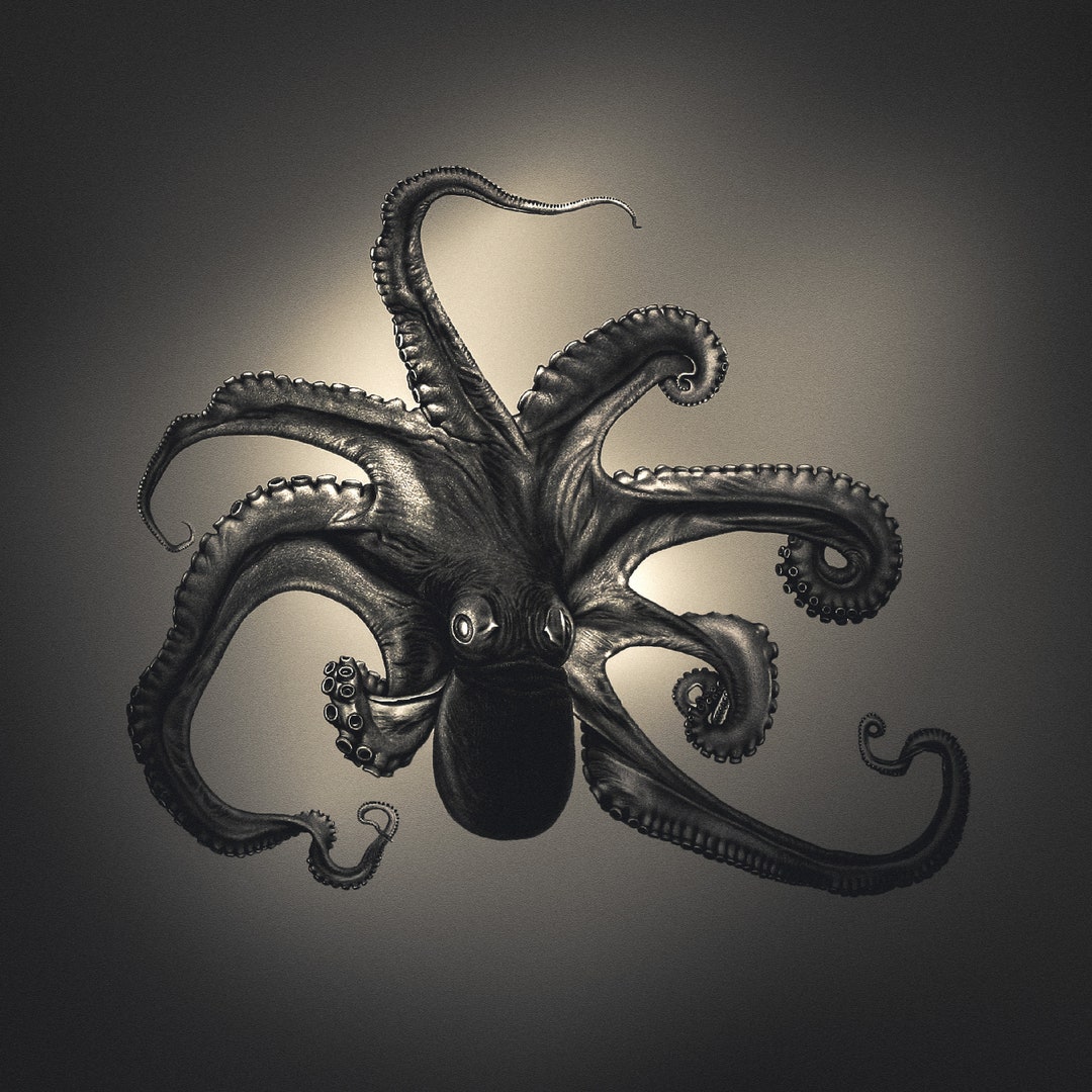 Octopus Cephalopod Intelligent and Sentient Animals Poster Etsy