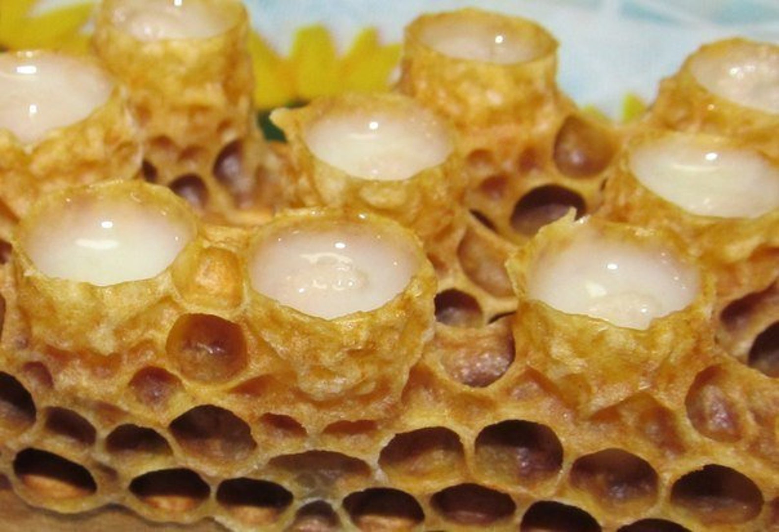 Пчелиное Маточное Молочко Где Купить Цена