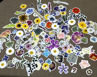 Real pressed flower sticker DIY kit/ gift for all ages/ stationery/ video instructions included/ make 50 different pressed flower stickers