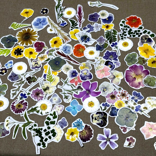 Pressed Flower Kit Etsy