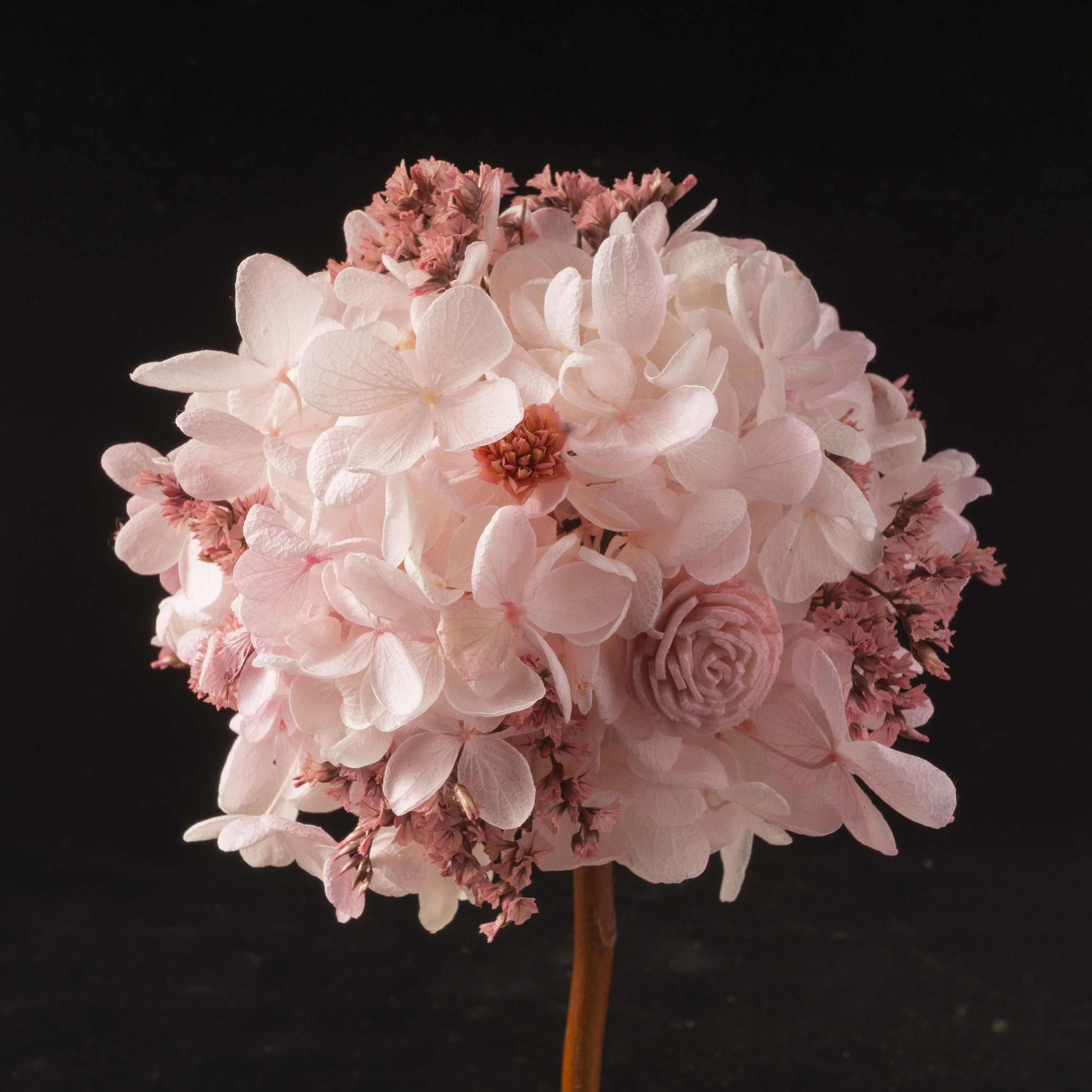 Four Seasons Preserved Flower DIY Kit/ Spring Seasonal Etsy