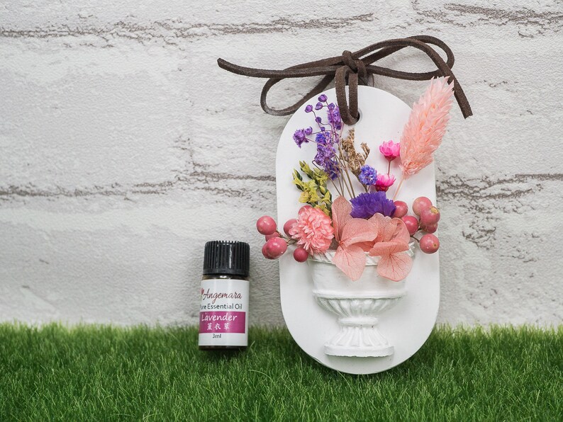 Plaster Air Freshener Tablet/pure Essential Oil Air Etsy