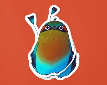 Nutxaneh Totorogoz Sticker – 100% of Proceeds to Indigenous Elders in El Salvador – My Neighbor Totoro Inspired Torogoz