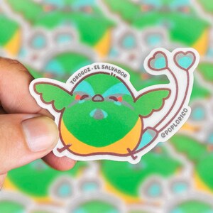 Adesivo fofo de Torogoz El Salvador - Adesivos de vinil à prova d'água, laptop, café, guardabarranco, observação de pássaros, pássaro, kawaii, centro-americano