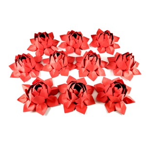 10 Fiori di loto rossi piccoli