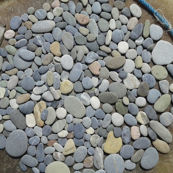 250 pierres de plage plates 0,5"- 1,8"[1,3-4,5 cm]. Différents types, formes et couleurs. Galets de mer pour divers travaux manuels, art des galets et décoration.