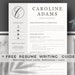 see more listings in the Sales Resume Template section