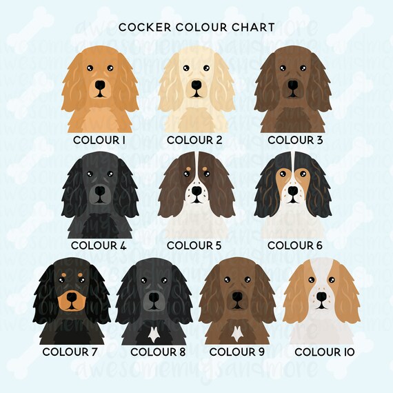 How Much Should A Puppy Cocker Spaniel Eat Chart
