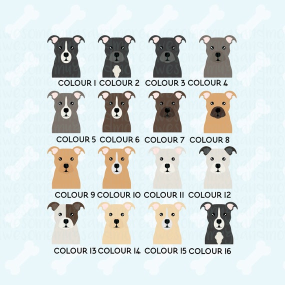 Staffy Colours Chart