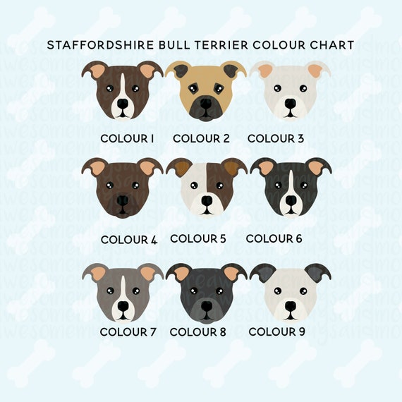 Staffy Colours Chart