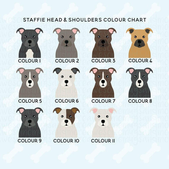Staffy Colour Chart