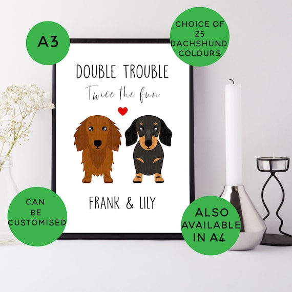 DACHSHUND doing laundry dog art print gift modern artwork 4x6