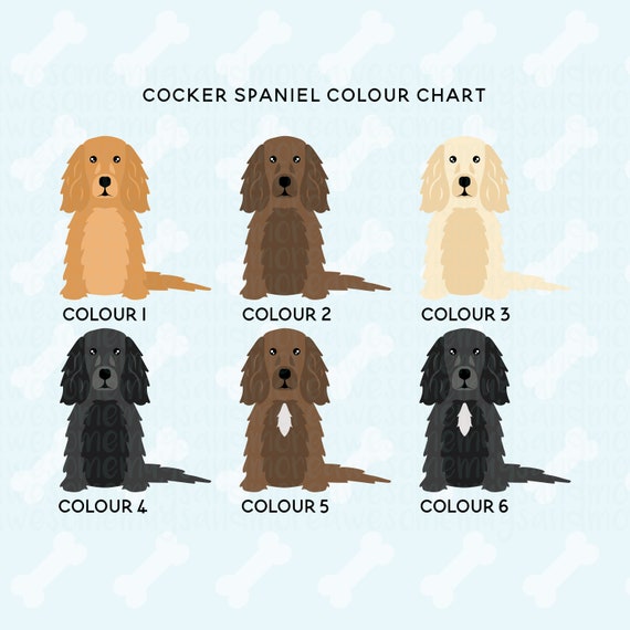 Cocker Spaniel Color Chart