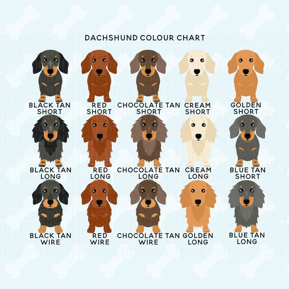 Personalised Dachshund Mug Cute Mug Wiener Mug Doxie Etsy