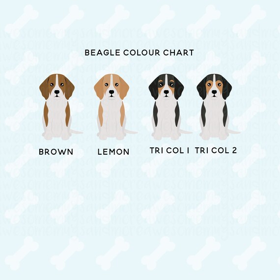 Double Trouble Border Collie Print Customised Dog Print 