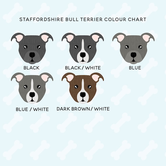 Staffy Colours Chart