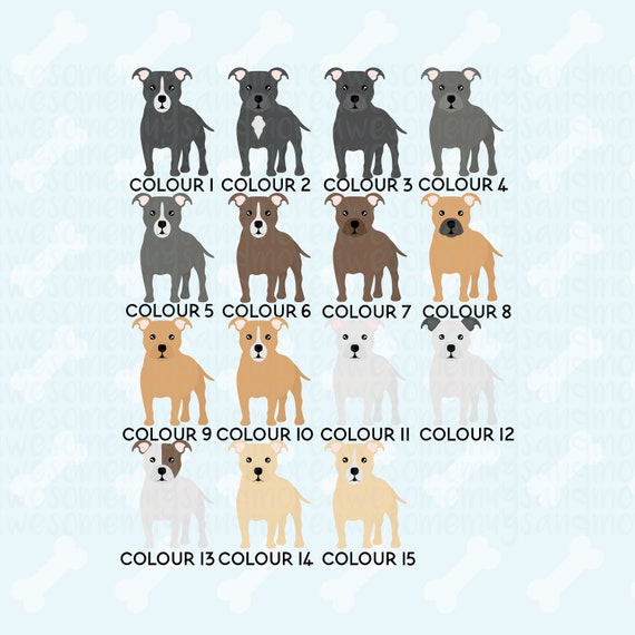 Staffy Colours Chart