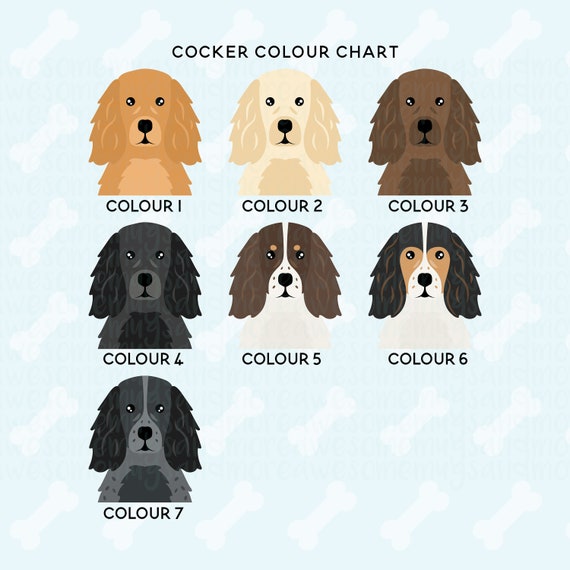 Cocker Spaniel Color Chart