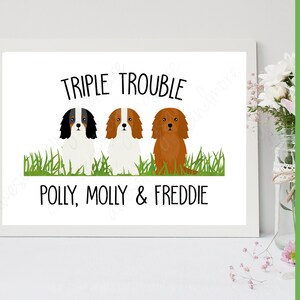 May include: A white framed print with a cartoon illustration of three Cavalier King Charles Spaniels. The dogs are sitting in a row on green grass. The text "Triple Trouble" is above the dogs and the text "Polly, Molly & Freddie" is below the dogs.