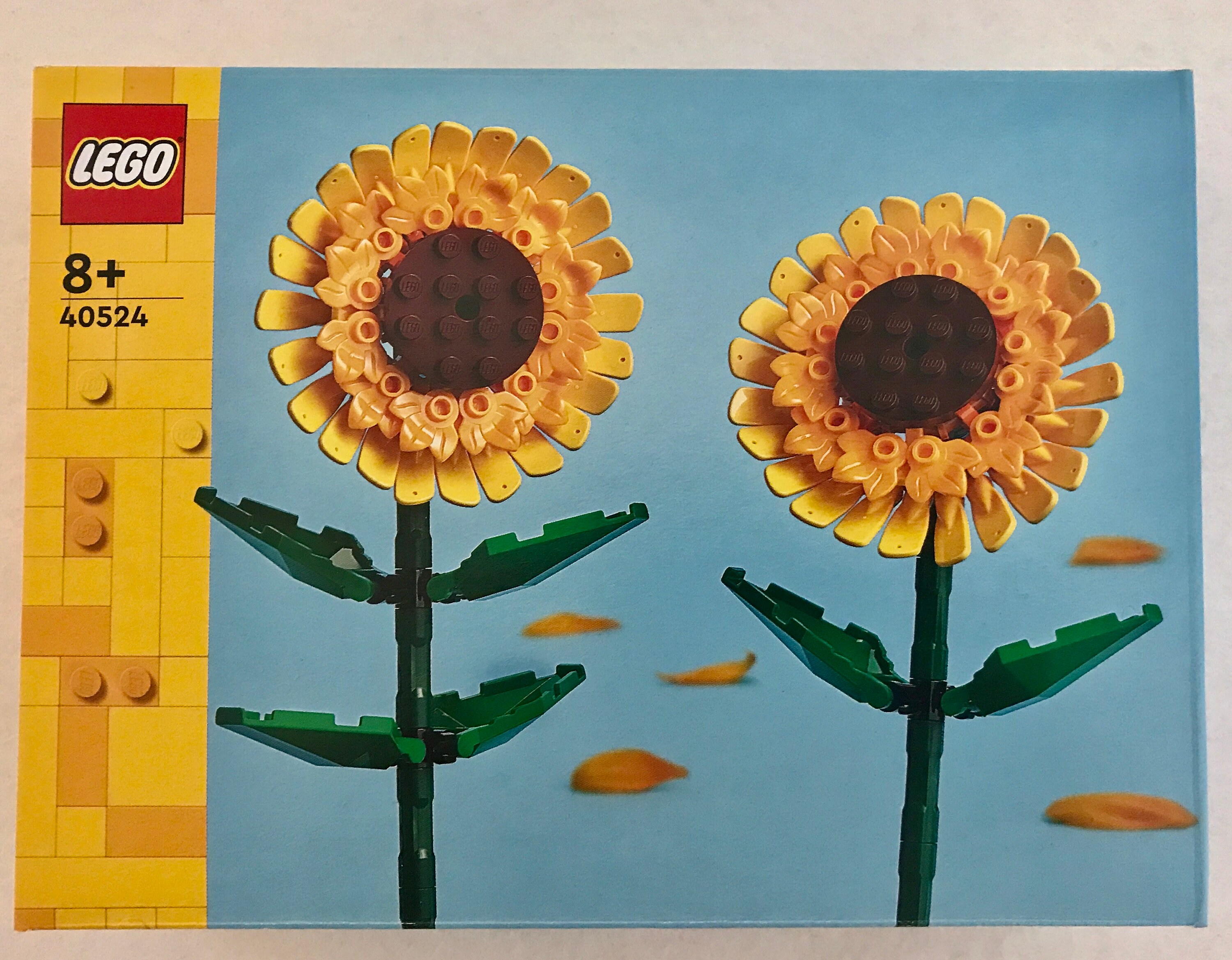 Lego Girasoles ubicaciondepersonas.cdmx.gob.mx