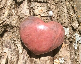 Può includere: Una pietra rosa e grigia a forma di cuore con una superficie liscia e lucida. La pietra è appoggiata su un tronco d'albero con una corteccia ruvida e testurizzata.